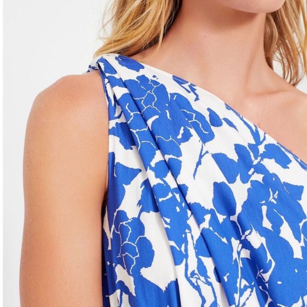 Tuckernuck Blue and White One-Shoulder Floral Maxi Dress - Picture 6 of 9